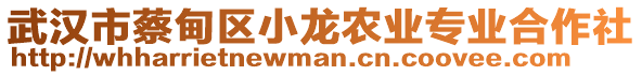 武漢市蔡甸區(qū)小龍農(nóng)業(yè)專業(yè)合作社