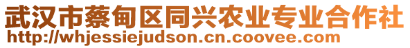 武漢市蔡甸區(qū)同興農(nóng)業(yè)專業(yè)合作社