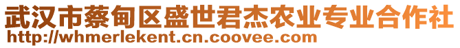 武漢市蔡甸區(qū)盛世君杰農(nóng)業(yè)專業(yè)合作社