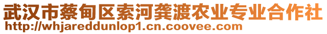 武漢市蔡甸區(qū)索河龔渡農(nóng)業(yè)專業(yè)合作社