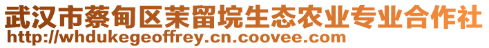 武漢市蔡甸區(qū)茉留垸生態(tài)農(nóng)業(yè)專業(yè)合作社