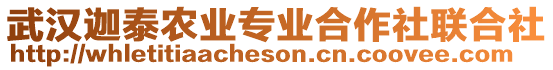 武漢迦泰農(nóng)業(yè)專業(yè)合作社聯(lián)合社