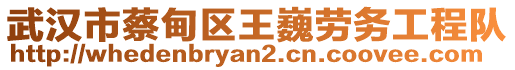 武漢市蔡甸區(qū)王巍勞務(wù)工程隊(duì)