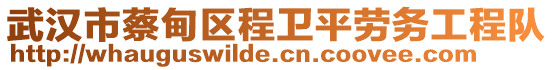 武漢市蔡甸區(qū)程衛(wèi)平勞務(wù)工程隊(duì)