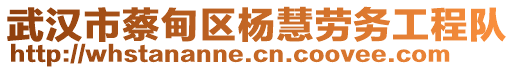 武漢市蔡甸區(qū)楊慧勞務(wù)工程隊(duì)