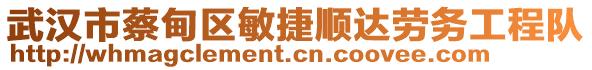 武漢市蔡甸區(qū)敏捷順達(dá)勞務(wù)工程隊(duì)