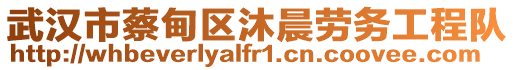 武漢市蔡甸區(qū)沐晨勞務(wù)工程隊(duì)