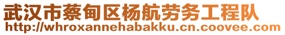 武漢市蔡甸區(qū)楊航勞務(wù)工程隊