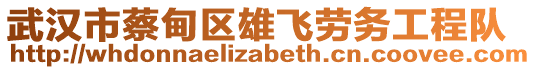 武漢市蔡甸區(qū)雄飛勞務(wù)工程隊