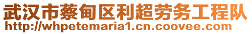 武漢市蔡甸區(qū)利超勞務(wù)工程隊