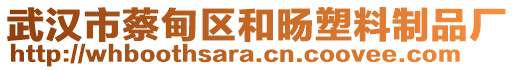 武汉市蔡甸区和旸塑料制品厂