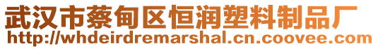 武漢市蔡甸區恒潤塑料制品廠
