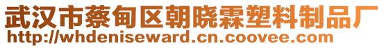 武漢市蔡甸區(qū)朝曉霖塑料制品廠