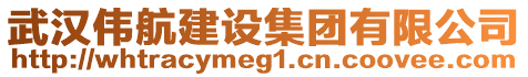 武漢偉航建設集團有限公司