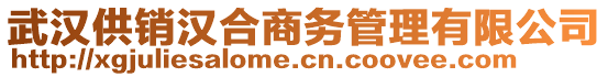 武漢供銷漢合商務管理有限公司