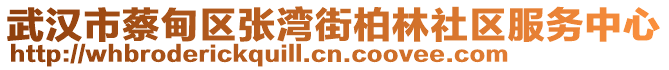 武漢市蔡甸區(qū)張灣街柏林社區(qū)服務中心