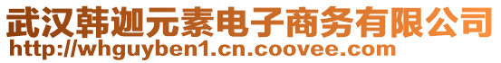 武漢韓迦元素電子商務(wù)有限公司