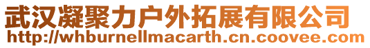 武漢凝聚力戶外拓展有限公司