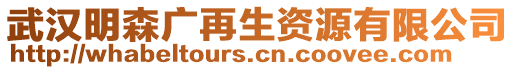 武漢明森廣再生資源有限公司