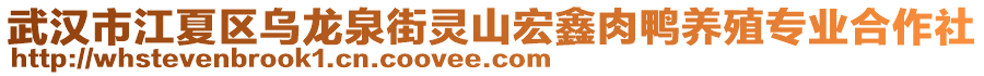 武漢市江夏區(qū)烏龍泉街靈山宏鑫肉鴨養(yǎng)殖專業(yè)合作社