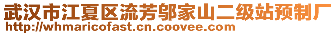 武漢市江夏區(qū)流芳鄔家山二級站預(yù)制廠