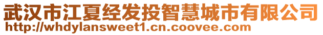 武漢市江夏經發投智慧城市有限公司