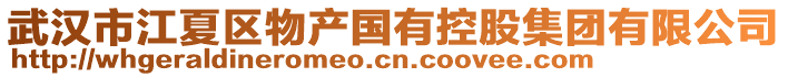 武漢市江夏區物產國有控股集團有限公司