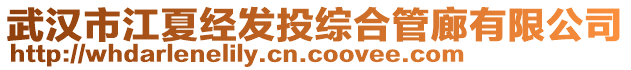 武漢市江夏經(jīng)發(fā)投綜合管廊有限公司