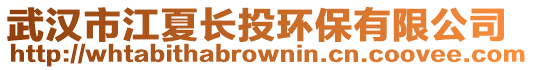 武漢市江夏長投環保有限公司