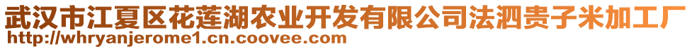 武漢市江夏區(qū)花蓮湖農(nóng)業(yè)開發(fā)有限公司法泗貴子米加工廠