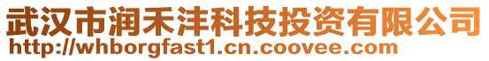 武漢市潤禾灃科技投資有限公司
