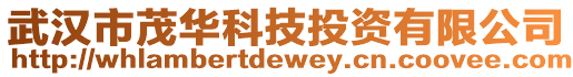 武漢市茂華科技投資有限公司