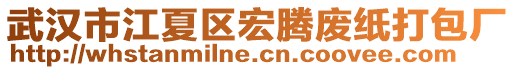 武漢市江夏區宏騰廢紙打包廠