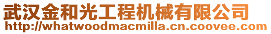 武漢金和光工程機械有限公司