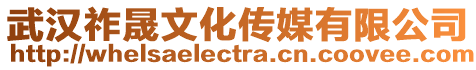 武漢祚晟文化傳媒有限公司