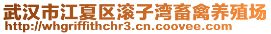 武漢市江夏區滾子灣畜禽養殖場