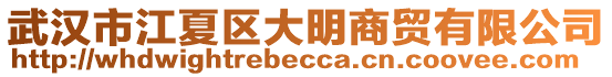 武漢市江夏區(qū)大明商貿(mào)有限公司