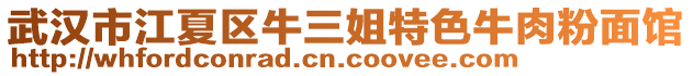 武漢市江夏區(qū)牛三姐特色牛肉粉面館