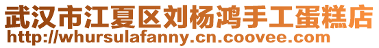 武漢市江夏區劉楊鴻手工蛋糕店