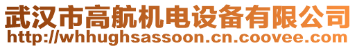 武漢市高航機電設(shè)備有限公司