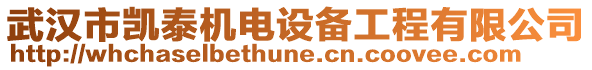 武漢市凱泰機(jī)電設(shè)備工程有限公司