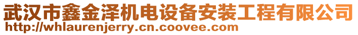 武漢市鑫金澤機(jī)電設(shè)備安裝工程有限公司