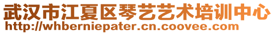 武漢市江夏區(qū)琴藝藝術培訓中心