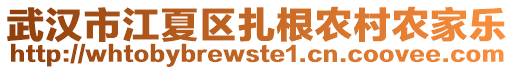 武漢市江夏區(qū)扎根農(nóng)村農(nóng)家樂