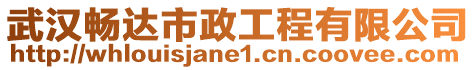 武漢暢達市政工程有限公司