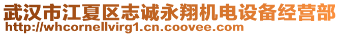 武漢市江夏區(qū)志誠(chéng)永翔機(jī)電設(shè)備經(jīng)營(yíng)部