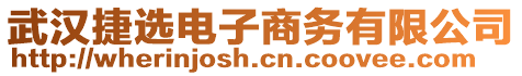 武漢捷選電子商務(wù)有限公司