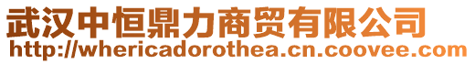 武漢中恒鼎力商貿(mào)有限公司