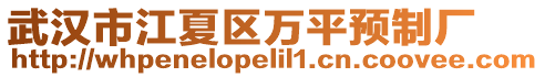 武漢市江夏區(qū)萬平預(yù)制廠