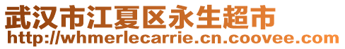 武漢市江夏區(qū)永生超市